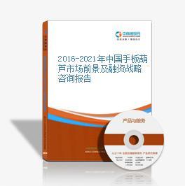 2016-2021年中國手板葫蘆市場前景及投資發展戰略研究報告